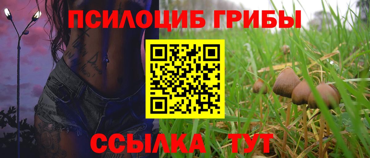 Псилоцибиновые грибы мухоморы  Вход с VPN  Рузаевка 